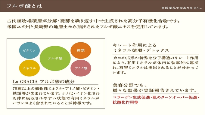 フルボ酸極上アロマトリートメント70分＜フェイシャル＆ボディ＞素泊まり